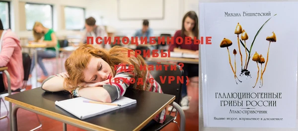 2c-b Алексеевка