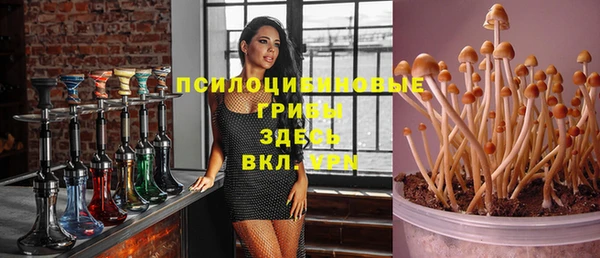 ешки Арсеньев