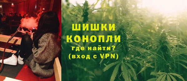 ешки Арсеньев